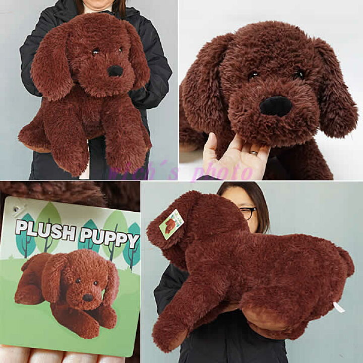 楽天市場】【送料無料】PLUSH PUPPY 犬のぬいぐるみ 全長60cm ブラウン 