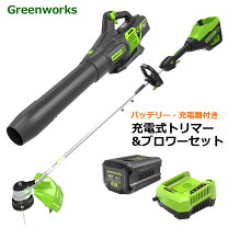 楽天市場】greenworksの通販