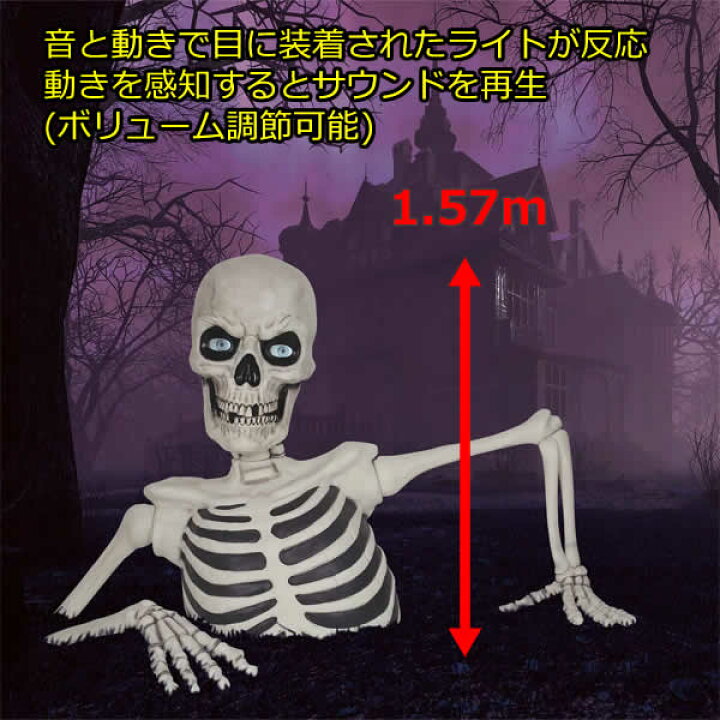 楽天市場】【大型商品】ジャイアント グラウンドブレイキング 