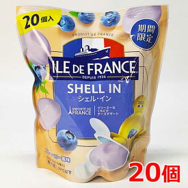 訳あり※賞味期限2026年1月8日【送料無料】ILE DE FRANCE シェル・イン 20個 ブルーベリー味 400g 冷蔵 チーズデザート イル・ド・フランス 20g×20個入り 個包装 フランス産 チーズフード おやつ おつまみ SHELL IN 期間限定