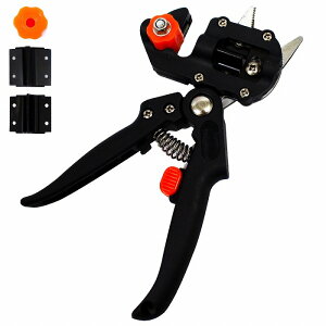 ږ nT~  ͂ K[fjO A ڂ }ڂ oT~  3^Cv߉\ ւnt  | }؂