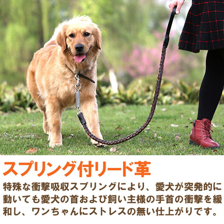 楽天市場 犬用リード 長さ107cm 散歩用 編込み 衝撃吸収スプリング 中型犬 大型犬 超大型犬 レザー素材 Wide Range 楽天市場 犬用リード 長さ107cm 散歩用 編込み 衝撃吸収スプリング 中型犬 大型犬 超大型犬 レザー素材 Wide Range