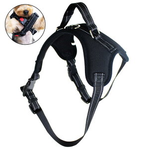 hbOn[lX bVf Up S`XLTCY ubN  ybg̎ւ̕Sy