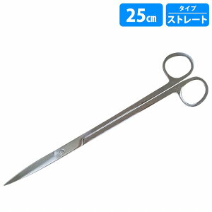  nT~ [ 25cm ]  g~O p XeX Mы ANAE eiX  | O 250mm KтȂ