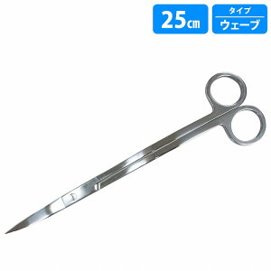  nT~ [ S^ 25cm ]  g~O p XeX Mы ANAE eiX EF[u O 250mm