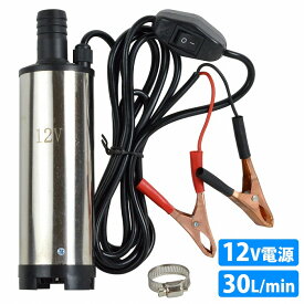 小型 給水ポンプ 強力80W 毎分/30L 12V 電動 スイッチ ビルジポンプ 水中ポンプ アウトドア キャンプ シャワー キッチンカー
