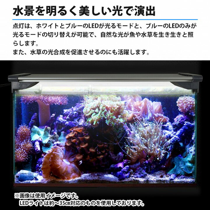 楽天市場 水槽ライト アクアリウムライト 45cm水槽 水槽照明 水槽ledライト Led400 ブルー ホワイト シルバー 熱帯魚ライト Wide Range