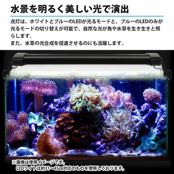 楽天市場】40cm～60cm 青/白 水槽 LED 照明 伸縮プレート型 薄型 