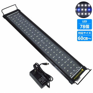 60cm`80cm /  LED Ɩ Lkv[g^ ^X^Cv  v[g Cg TS Mы ANAE Cg