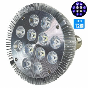 y84z24W(2W×12) d E26   p Ɩ A琬 X|bg Cg 12LED ANAE d  TS Mы