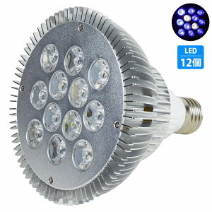 y102z24W(2W×12) d E26   p Ɩ A琬 X|bg Cg 12LED ANAE d  TS Mы