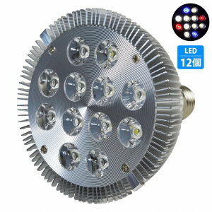 y8/2/2z24W(2W×12) d E26   p Ɩ A琬 X|bg Cg 12LED ANAE d  TS