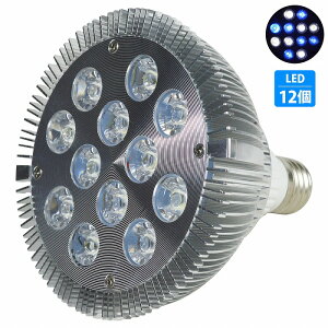 y6/6z24W(2W×12) d E26   p Ɩ A琬 X|bg Cg 12LED ANAE d  TS Mы