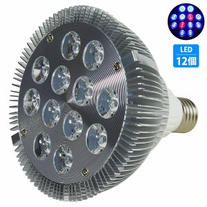 y102z24W(2W×12) d E26   p Ɩ A琬 X|bg Cg 12LED ANAE d  TS Mы