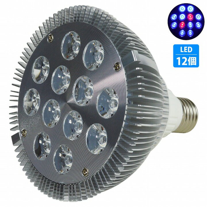 最新作 海水魚 サンゴ水槽用 1w Led照明 Ledライト プレート型 フルスペクトル 高機能 高性能 水槽用照明 サンゴ照明 Peeric Com