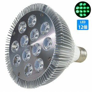 y12LEDz24W(2W×12) d E26   p Ɩ A琬 X|bg Cg 12LED ANAE d  TS Mы