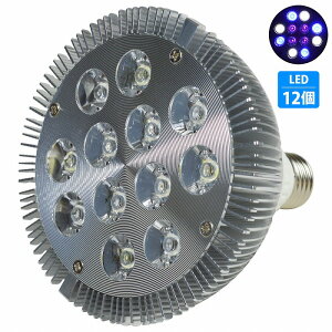 y4/4/O4z24W(2W×12) d E26   p Ɩ A琬 X|bg Cg 12LED ANAE d 