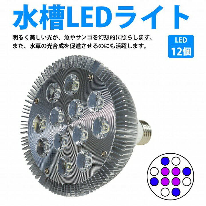 楽天市場】12LED 交換電球 スポットライト 24W(2W×12) 青4/白4/紫外線4 E26 水槽 照明 水草 サンゴ 熱帯魚 観賞魚 植物育成 : WIDE RANGE 楽天市場】12LED 交換電球 スポットライト 24W(2W×12) 青4/白4/紫外線4 E26 水槽 照明 水草 サンゴ 熱帯魚 観賞魚 植物育成 : WIDE RANGE