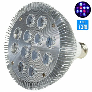 y6/2/O4z24W(2W×12) d E26   p Ɩ A琬 X|bg Cg 12LED ANAE d 