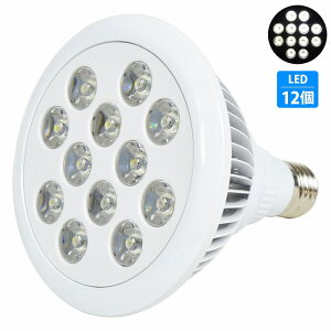 ANAE d 12 LED 12  p 24W X|bg Cg E26  Ɩ  A琬  TS Mы Ǝˊp90x
