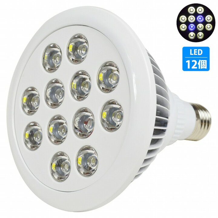 楽天市場 12led 交換電球 スポットライト 青2 白10 E26 水槽 照明 水草 サンゴ 熱帯魚 観賞魚 植物育成 Wide Range