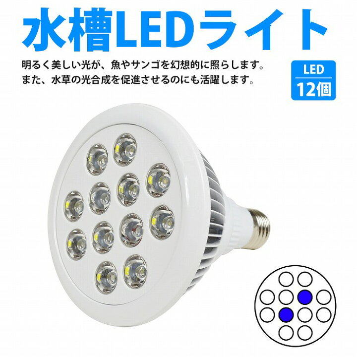 若者の大愛商品 Led 電球 スポットライト青7 照射角60度 水槽 照明 E26 水草 Ledスポットライト 電気 サンゴ 熱帯魚 観賞魚 植物育成 Shipsctc Org