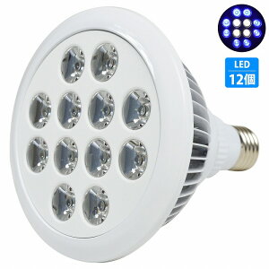  p X|bg Cg 24W d 12LED 84  E26 ANAE d Ɩ A琬  TS Mы Ǝˊp90x