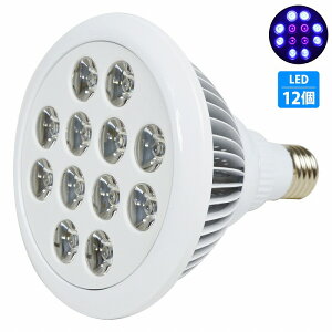  p X|bg Cg 24W d 12LED 8/O4  E26 ANAE Ɩ A琬  TS Mы Ǝˊp90x