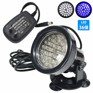 w/  OxX|bgCg Ɩ 36LED ANAE TS Mы LEDCg zՓ\t 180x px