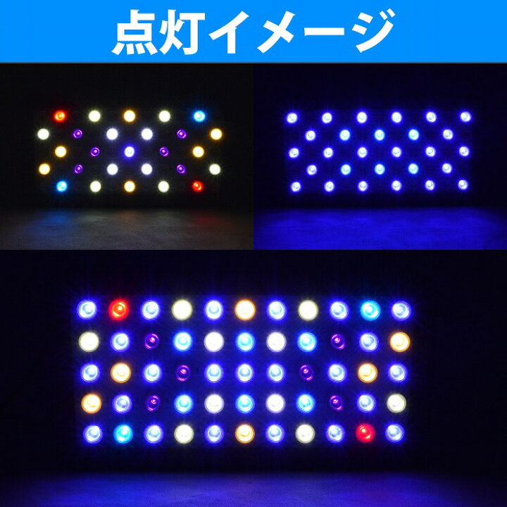 楽天市場】海水魚 サンゴ水槽用 120W LED照明 LEDライト プレート型 