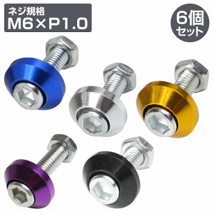 6set M6 A~ J[bV[ io[ {g tWc{  oCN XeX{g M6 1.0 20mm J[S5F ////