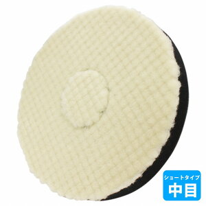 y/180zE[ot Oa 180mm |bV[  ot | ԃLY C o h dグ ڏ  