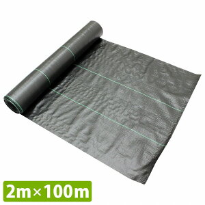 w2m×100mxhV[g 1 0.3mm  G  | V[g  \[[pl ~n  2m/200cm 1{ 100m [