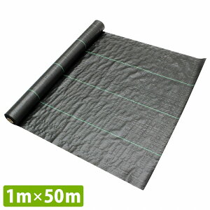 w1m×50mxhV[g 1 0.3mm  G  | V[g  \[[pl ~n  1m/100cm 1{ 50m [