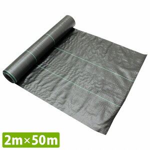 w2m×50mxhV[g 1 0.3mm  G  | V[g  \[[pl ~n  2m/200cm 1{ 50m [