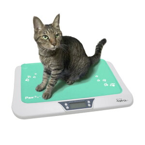 ^ybg ̏dv ybgp̏dv 5gPʁ ybg}bgt ybg fW^\ ybgXP[ ̏d v ̏d ybg̏dv  L  v q qL  ̏d 얞  