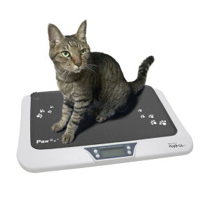 ���^�y�b�g �̏d�v �y�b�g�p�̏d�v ��5g�P�ʁ� �y�b�g�}�b�g�t �y�b�g���� �f�W�^���\�� �y�b�g�X�P�[�� �̏d �v �̏d���� �y�b�g�̏d�v �� �L ������ �v�� �q�� �q�L ���� �̏d �얞 ���� ��