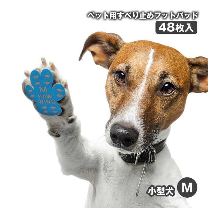 楽天市場】【クーポン配布 3/27/1:59迄】【送料無料】ペット用靴下 