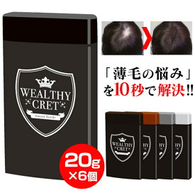 【送料無料】日本製 薄毛隠し 薄毛 ハゲ隠し はげ隠し ウェルシークレット≪6個セット≫ 増毛 薄毛かくし 薄毛カバー 増毛パウダー 薄毛パウダー はげ 対策 増えみせ ふりかけ 植物性 微毛髪 生え際 つむじ 分け目 白髪隠し ウエルシー メール便