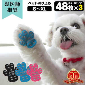  ybgpC V[ PAW WING PAWWINGyFTCY3gz48×3 v144  C V ybgp ~ V[ tbgpbh  p C   V[ V[ t[O ]|