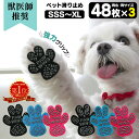 獣医師推奨 犬 滑り止め 足裏シールペット用靴下 シール PAW WING PAWWING (Grip plus) 【3個組】 犬 靴 おすすめ 滑…