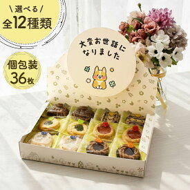 ロシアケーキ 中山製菓 ギフトセット 36枚 18枚 退職 お礼 配る お菓子 お世話になりました 退職 メッセージ お菓子 個包装 感謝 挨拶 異動 お返し クッキー 詰め合わせ ギフト かわいい 産休 復職 転勤 職場 塾 退職の挨拶 お菓子 おせわになりました【RSL】