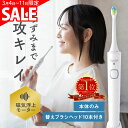 SALE！3/11/1:59迄☆ 電動歯ブラシ 音波歯ブラシ 充電式 ロイヤルソニック CRYSTAL RENEW 2026年モデル クリスタル 充電式電動歯ブラシ 充電式音波歯ブラシ スリム 軽量 デンタルケア 口臭予防 歯垢除去 口腔ケア 自宅 USB 充電器 携帯用ケース IPX7 防水 送料無料【RSL】