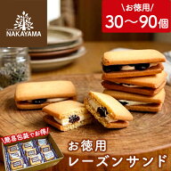 中山製菓 レーズンサンド 詰め合わせ 個包装 30個 60個 90個 レーズンバターサンド お世話になりました …
