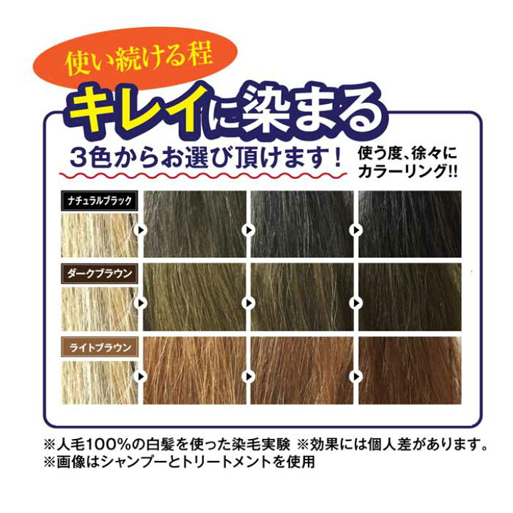 楽天市場 竹の頭皮ブラシプレゼント中 送料無料 白髪染め シャンプー 利尻カラーシャンプー お得2本セット 利尻昆布 白髪染め シャンプー 利尻 白髪かくし 利尻昆布シャンプー 白髪かくし 白髪隠し 利尻昆布白髪染め 昆布の白髪用 カラーシャンプー ギフト