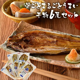 NHK あさイチで紹介★骨ごとまるごとうまい干物8尾セット まるとっと キシモト 干物 正規販売店 ギフト アジ 口コミ カルシウム 個包装 贈答 常備食 ほっけ あじ にしん さば 魚 無添加 国産 常温保存 介護食 おつまみ おかず 簡単 便利 テレビ TV