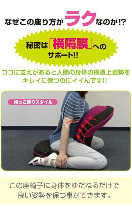 楽天市場】背筋がGUUUN 美姿勢座椅子 プロイデア PROIDEA 骨盤矯正 