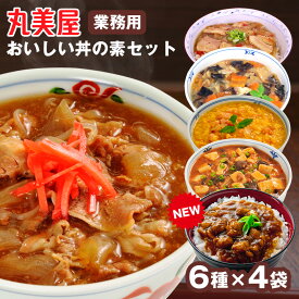 【クーポン配布 7/11/1:59迄】丸美屋業務用 おいしい丼の素 24袋セット 丸美屋 丼 業務用 麻婆丼 親子丼 中華丼 牛丼 塩カルビ丼 5種 各4袋 どんぶり レトルト パウチ 常温保存 野菜 肉 簡単 湯煎 備蓄 長期保存 保存食 防災 時短 調理 おかずセット ご飯のお供 子供 お総菜