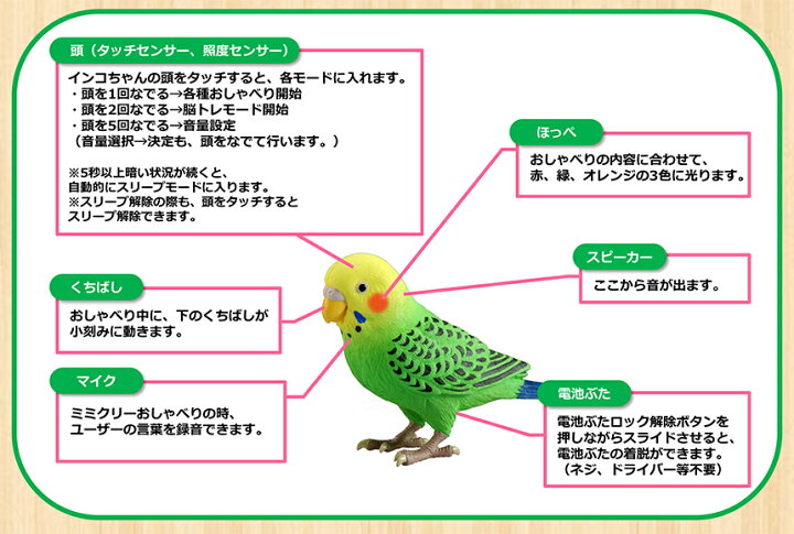品数豊富 毎日おしゃべり 天才インコちゃん 青色 脳トレやゲームで楽しめます 認知症予防にも プレゼント 電池プレゼント Materialworldblog Com