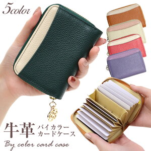 ݌Ɍ聙J[hP[X fB[X XL~Oh~ v J[h ~jz v`z ΂ RFID YKKt@Xi[ t[`[ J[h  NWbgJ[h |CgJ